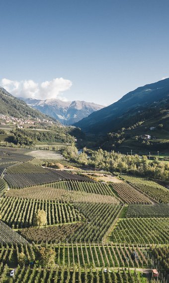 Belvita: die Urlaubsgebiete für Ihre Wellnessauszeit