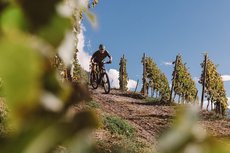 Lindenhof Pure Luxury & Spa DolceVita Resort