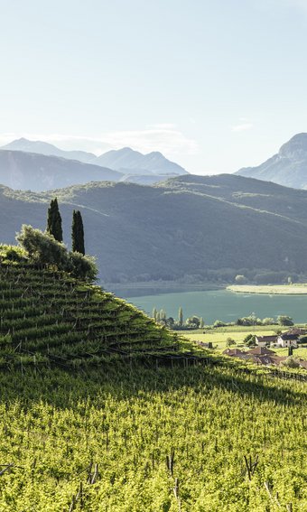 Belvita: die Urlaubsgebiete für Ihre Wellnessauszeit