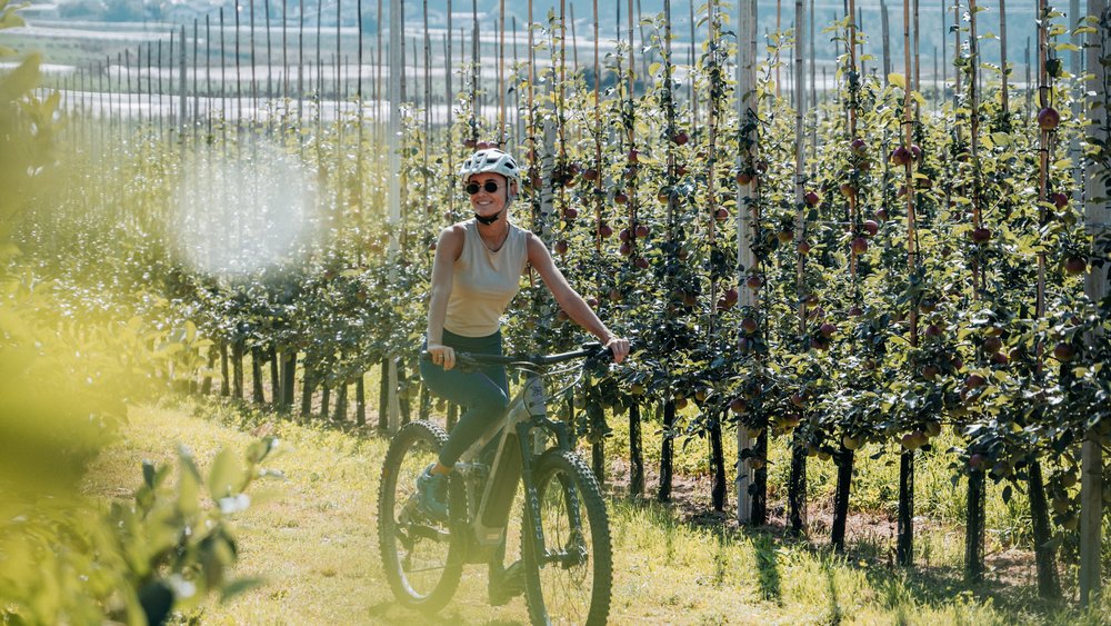 Impressionen aus einer Welt der Leichtigkeit