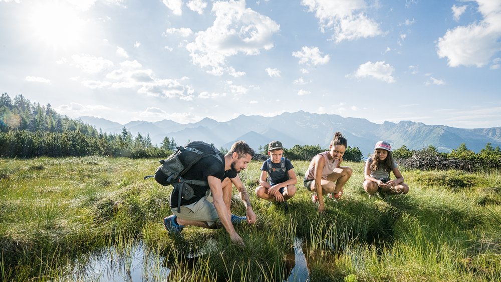 Impressionen aus einer Welt der Leichtigkeit